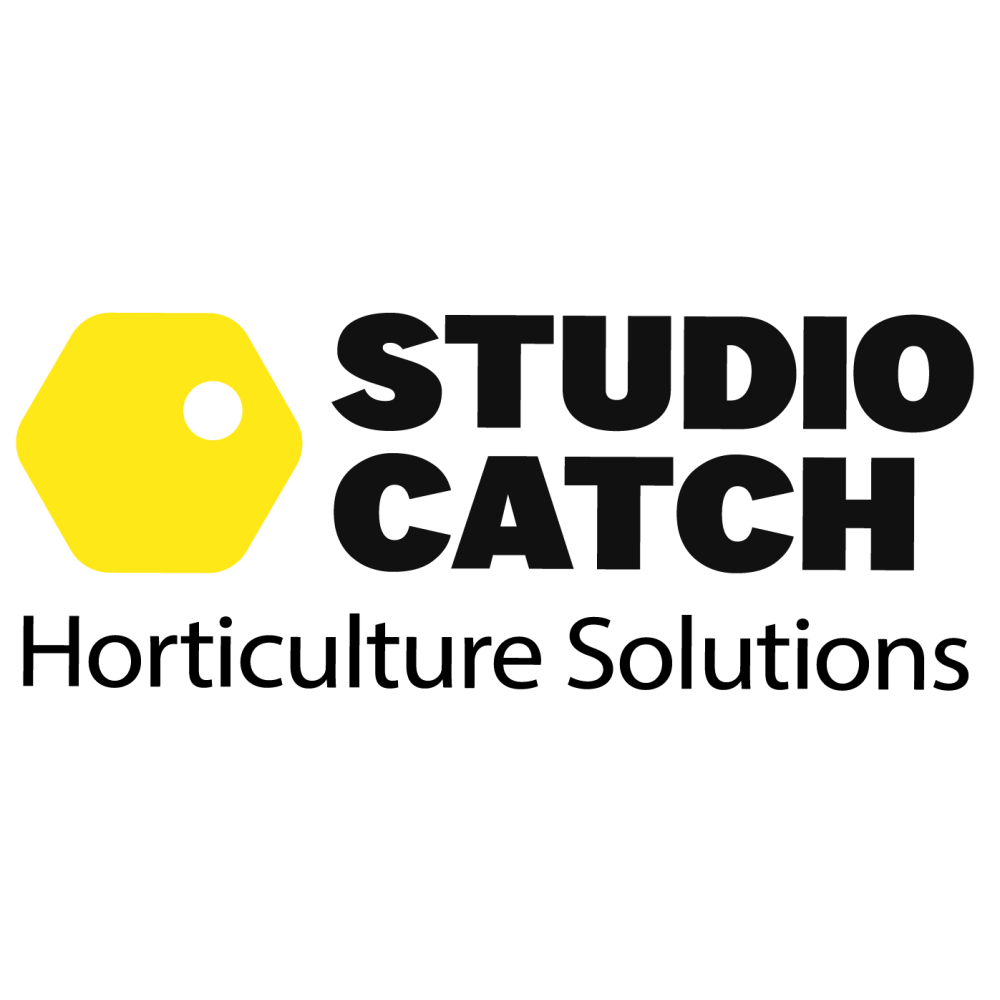 Studio Catch logo