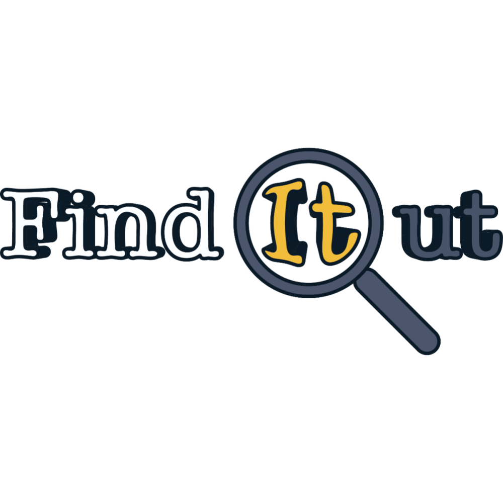 FindItOut logo